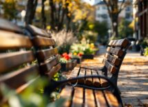 Grafico sull'aumento delle pensioni minime nel 2024