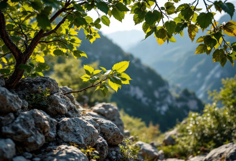 Panorama del Parco del Corno alle Scale con flora e fauna