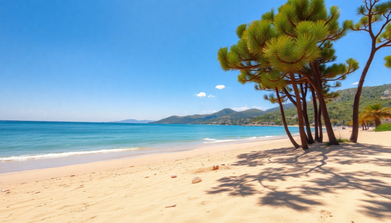 vacanze indimenticabili in abruzzo esplora pineto beach python 1755693331